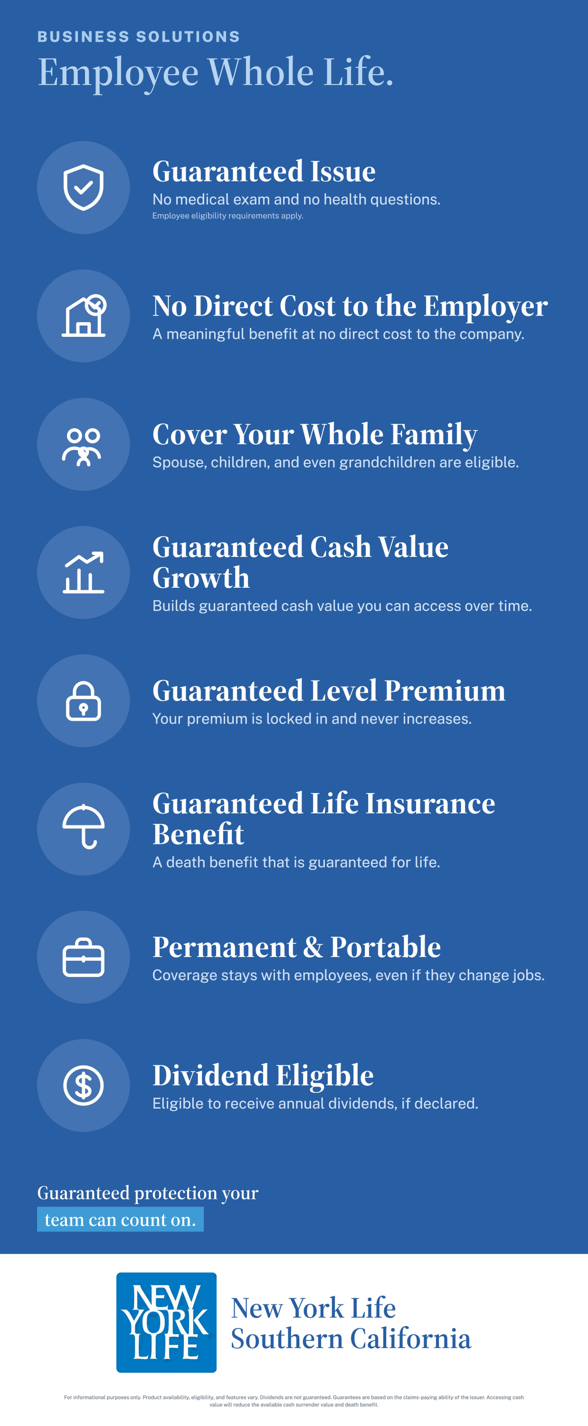 New York Life - Employee Whole Life - Deluxe Retractable Banner - 33"x81"