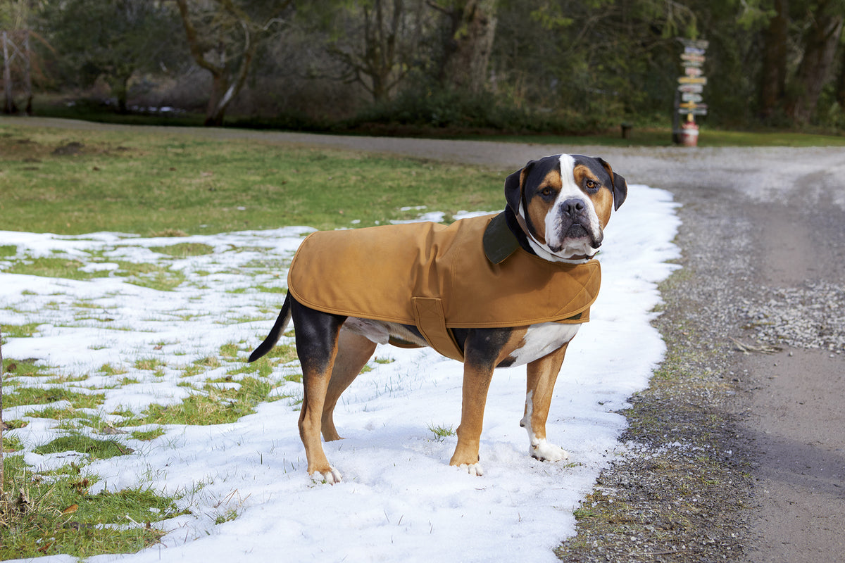 Custom Embroidered - Carhartt® Dog Chore Coat CTP0000505