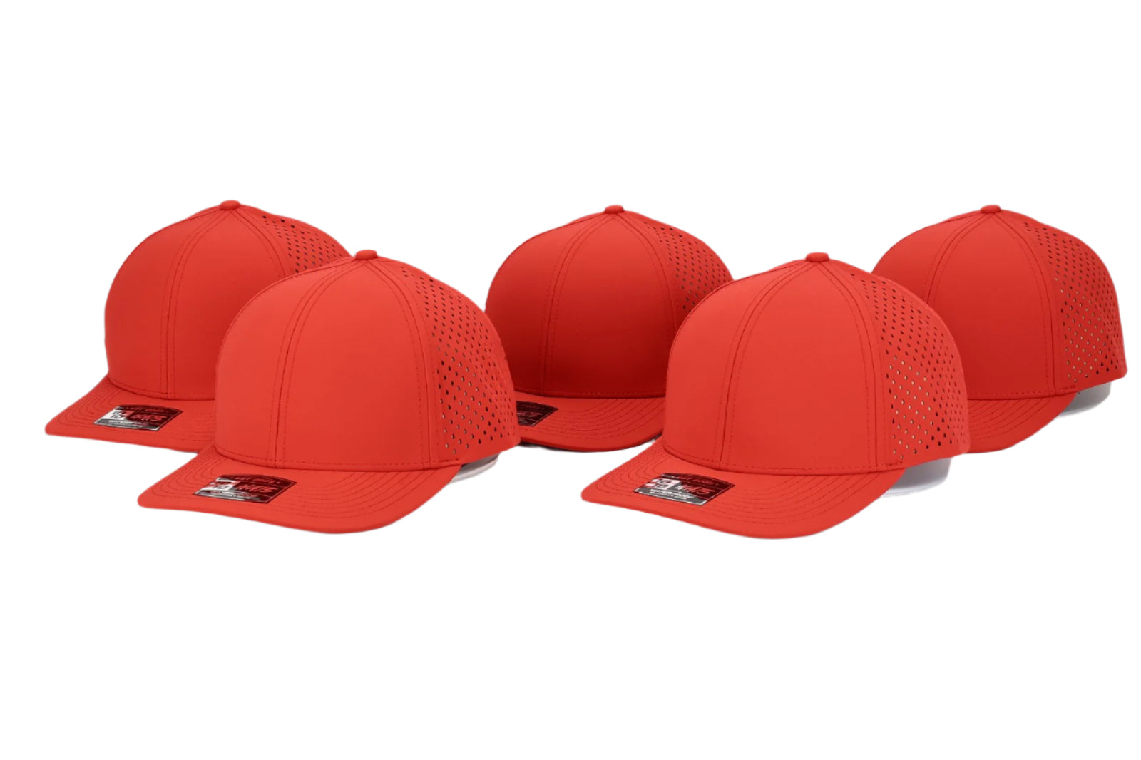 6 Panel